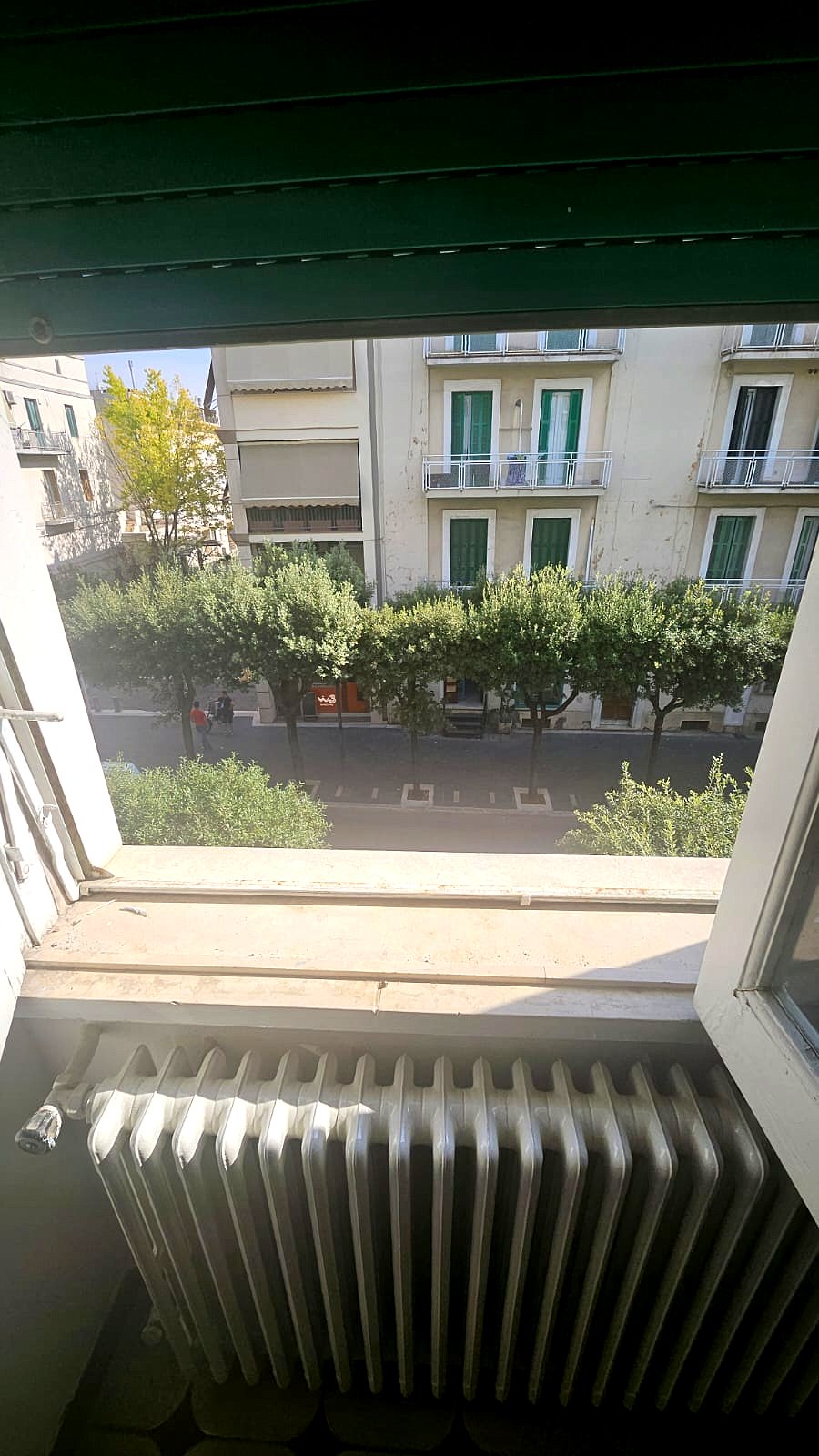 Vista dalla finestra sul viale